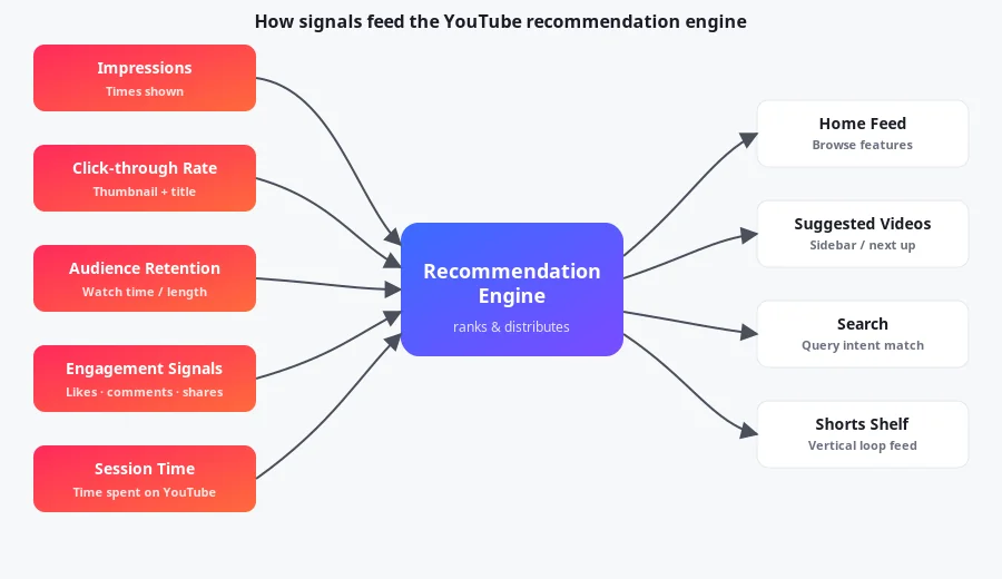 Diagram showing how impressions, click-through rate, audience retention, engagement signals, and session time all feed into YouTube's recommendation engine, which then distributes video to home feed, suggested videos, search, and Shorts shelf.